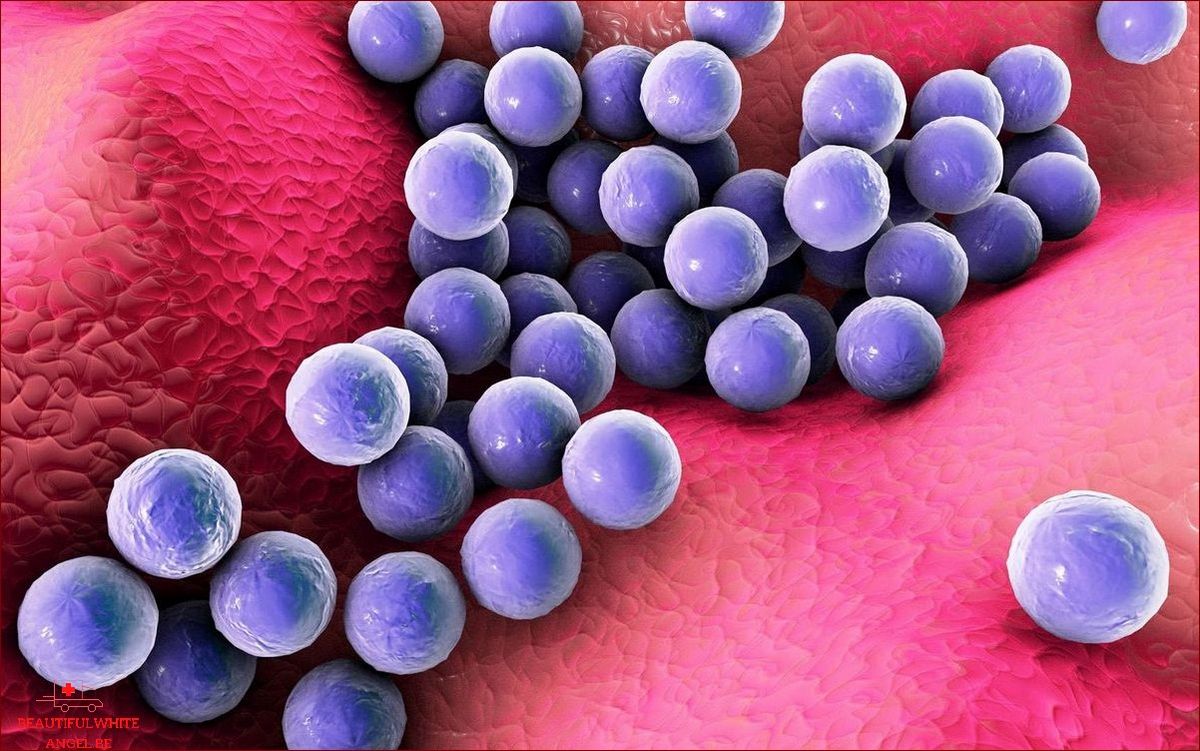 Le staphylocoque une bactérie potentiellement mortelle